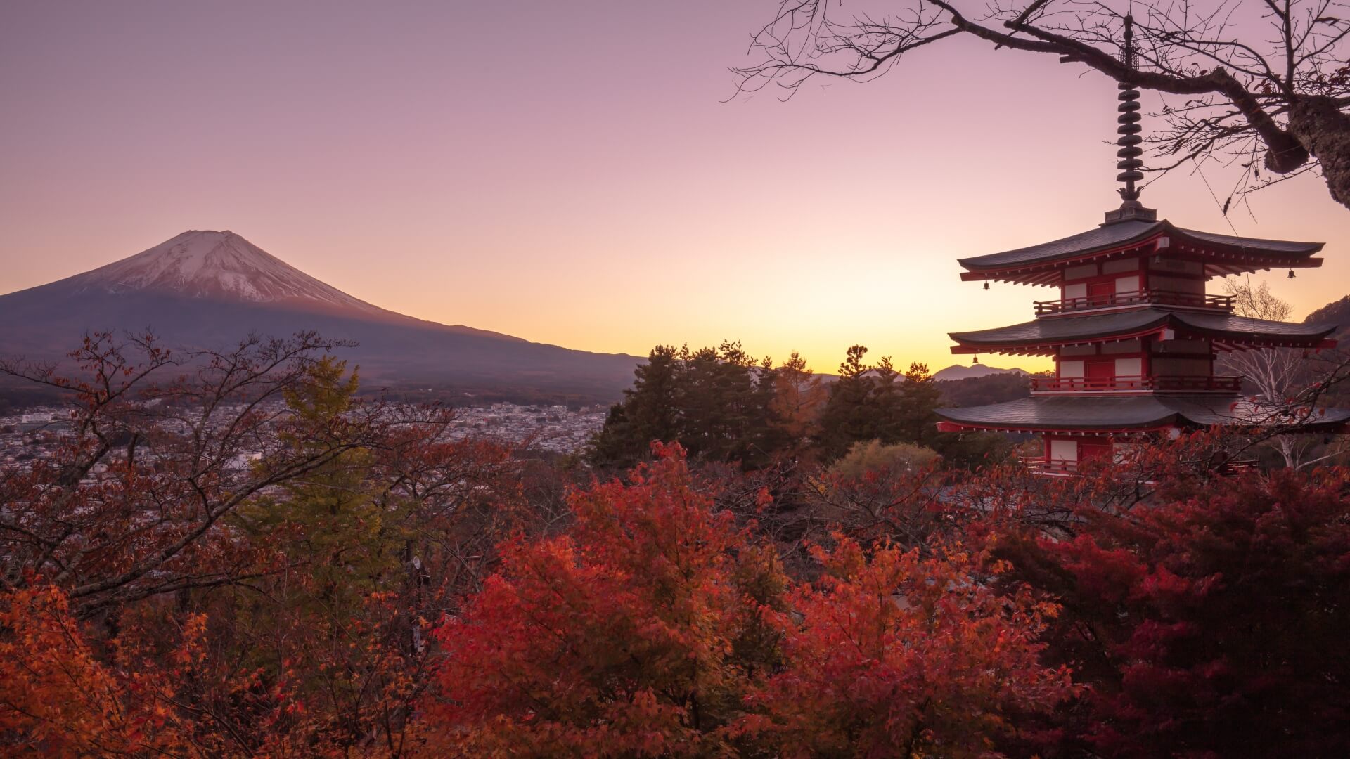 fuji-autumn