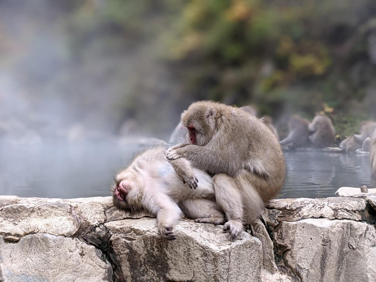 湯田中湯本