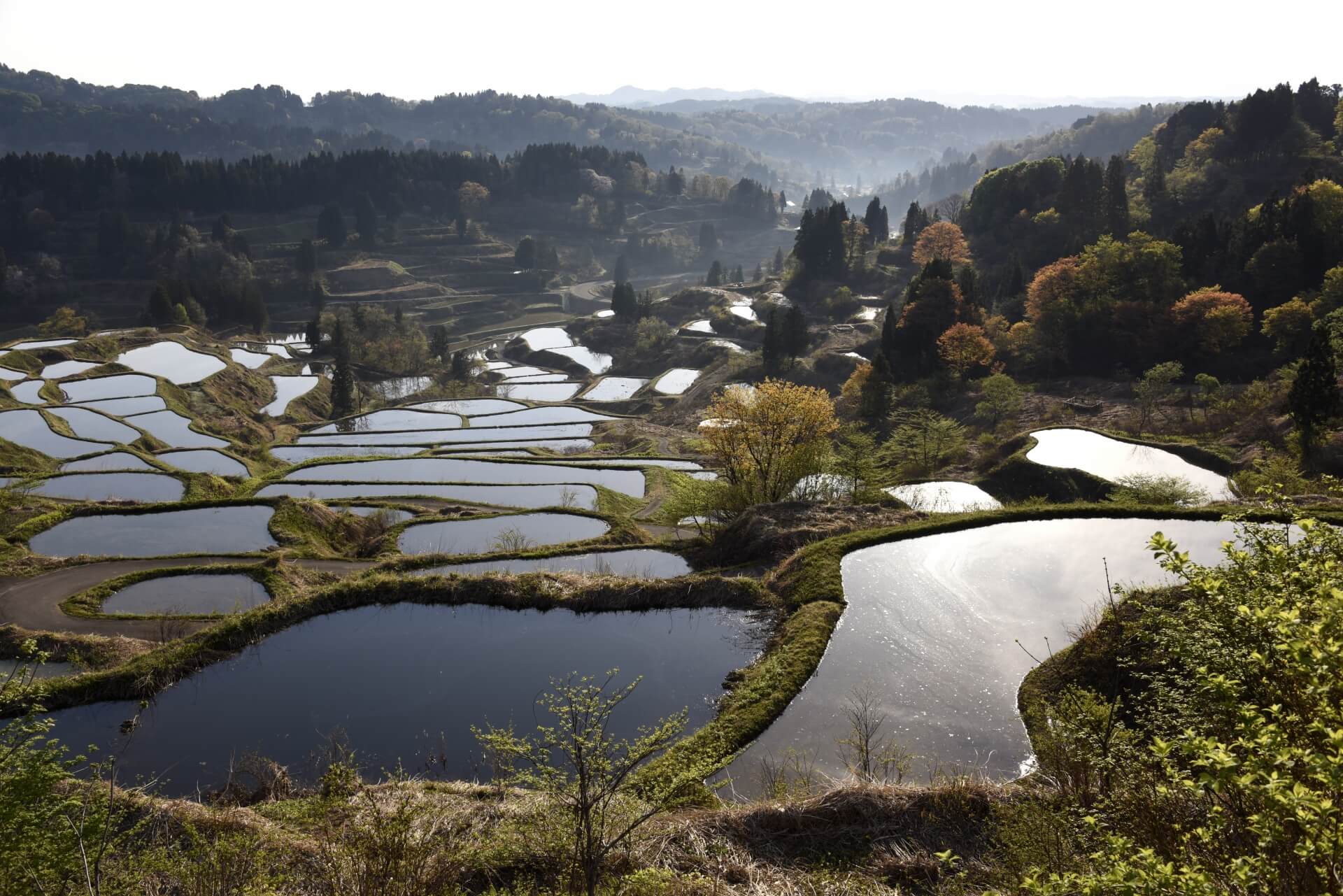 niigata-hoshitoge-terrace