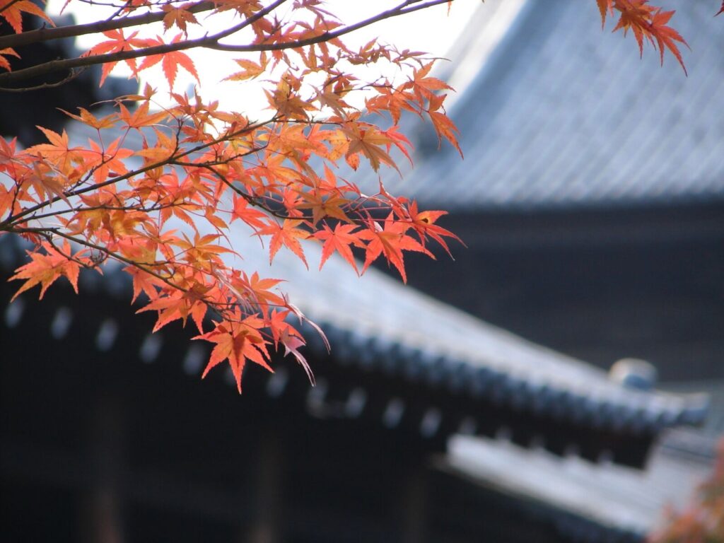 kyoto-tofukuji-temple-fall