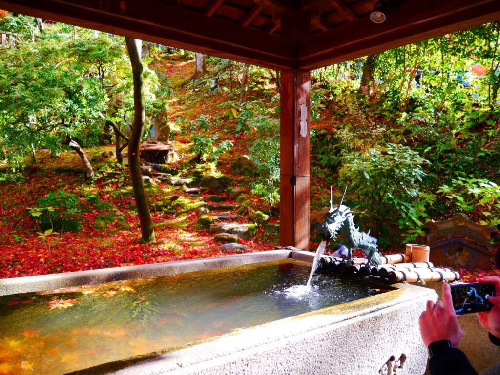 kyoto-eikando-fall