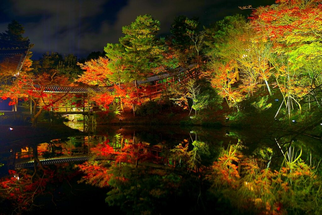 kyotp-kodaiji-temple-fall