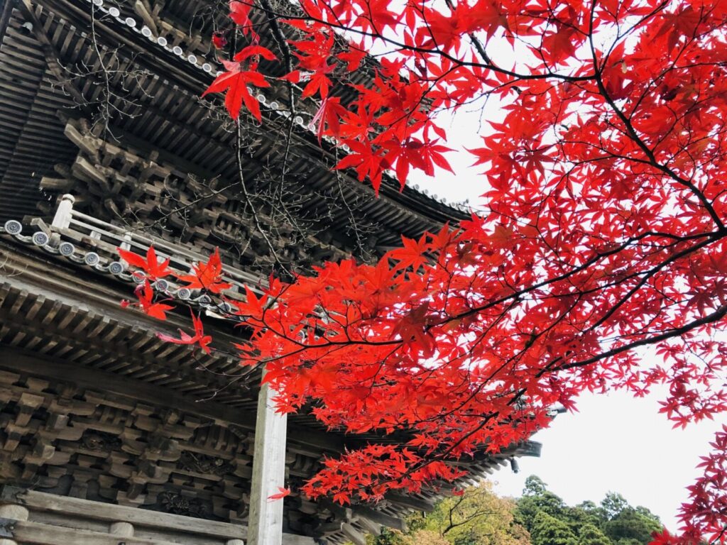 kyoto-kiyomizudera-fall