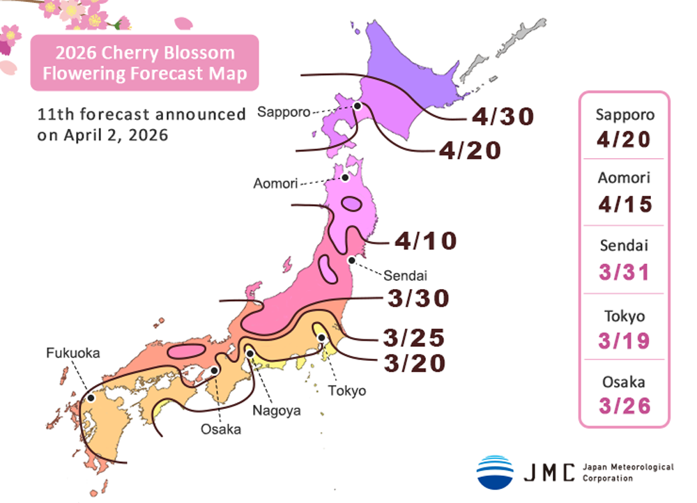 cherry-blossom-forecast-2026-#11