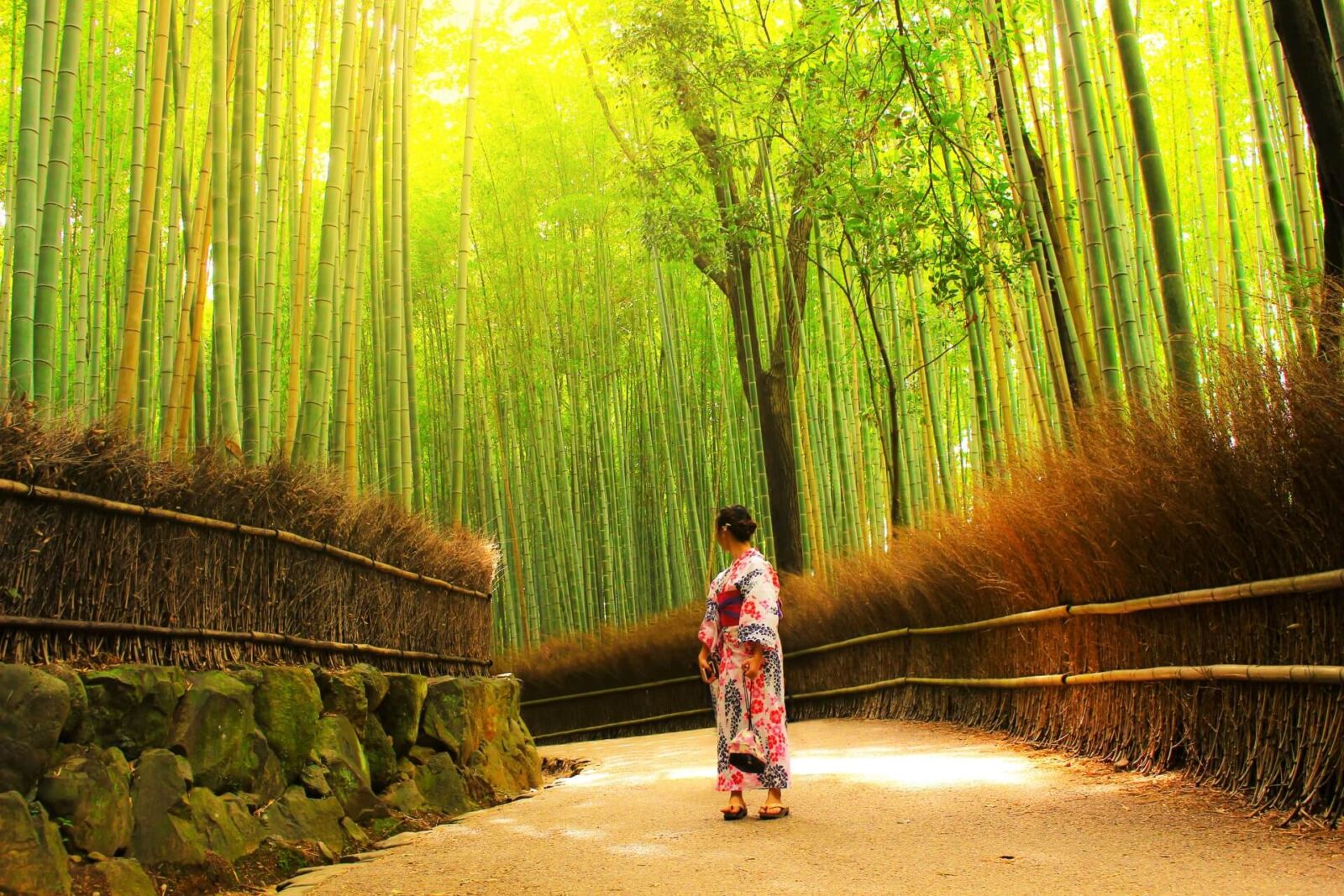kyoto-arashiyama-bamboo-grove