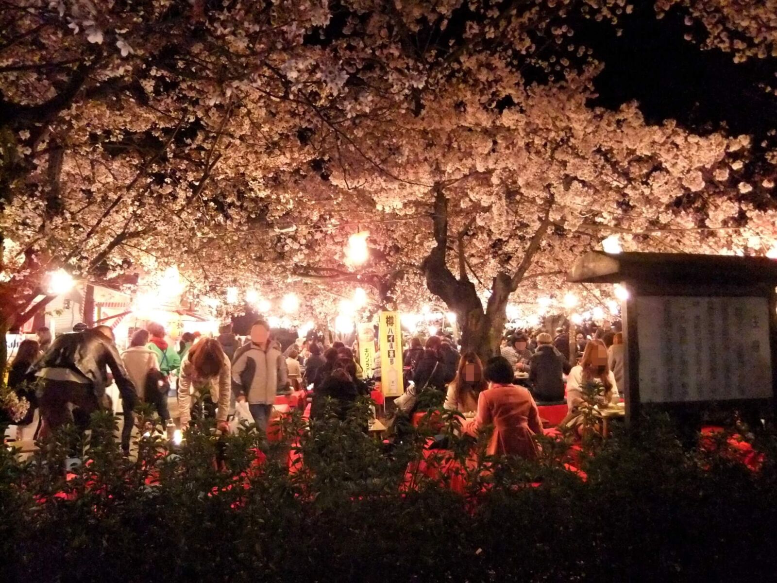 kyoto-maruyama-park