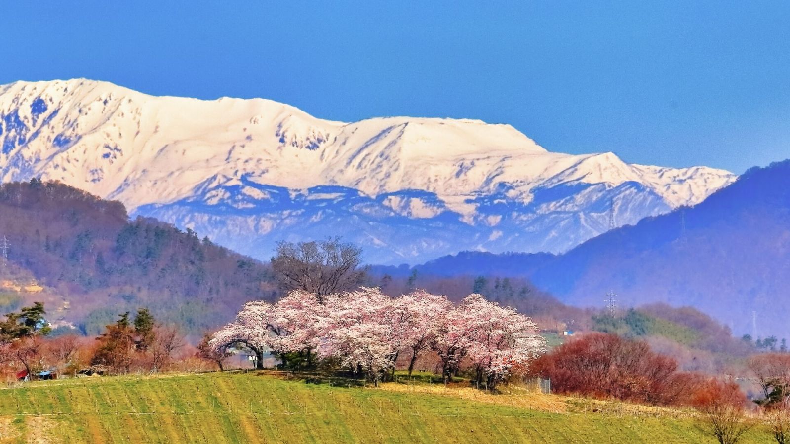 nagano-landscape