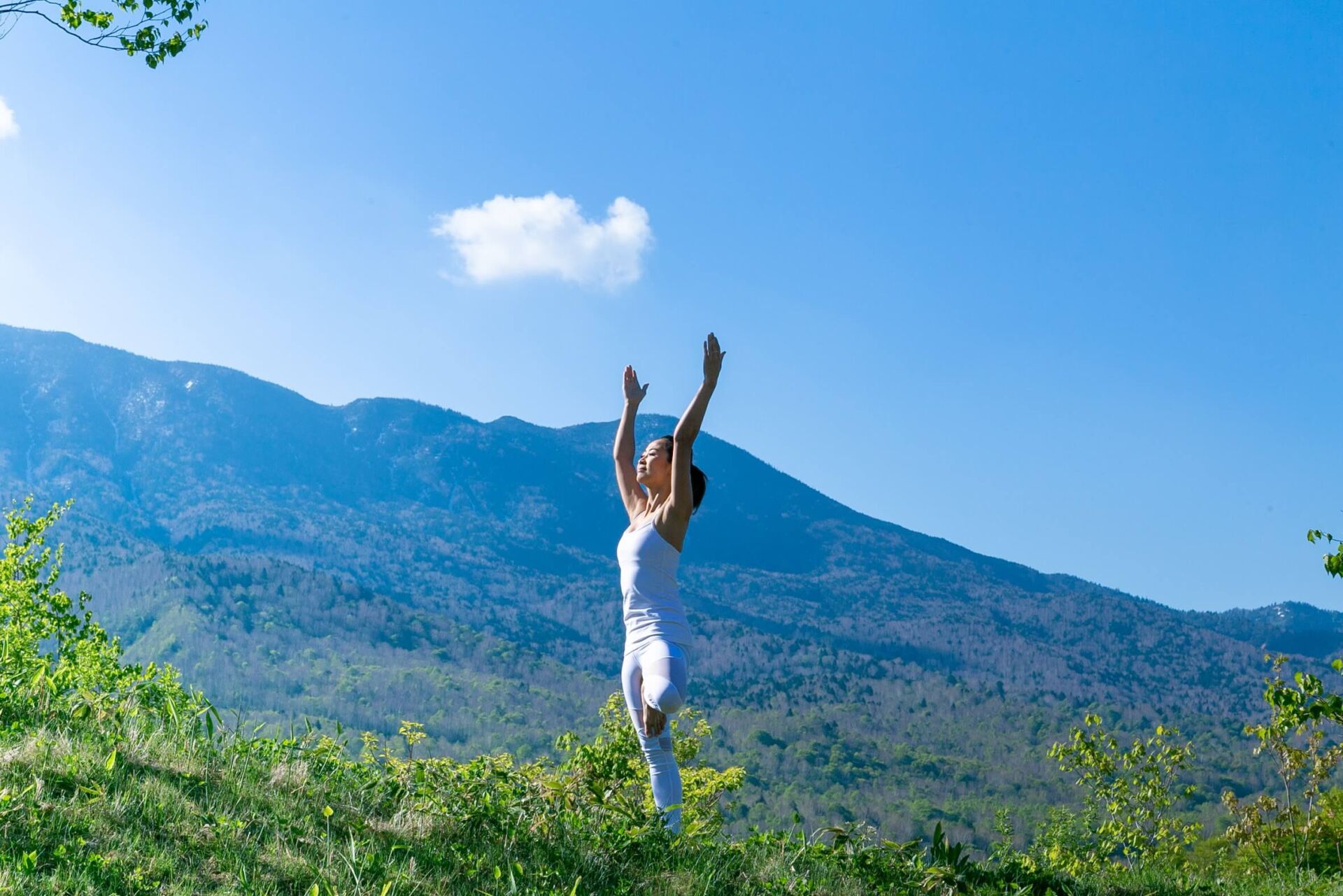 grand-phenix-yoga