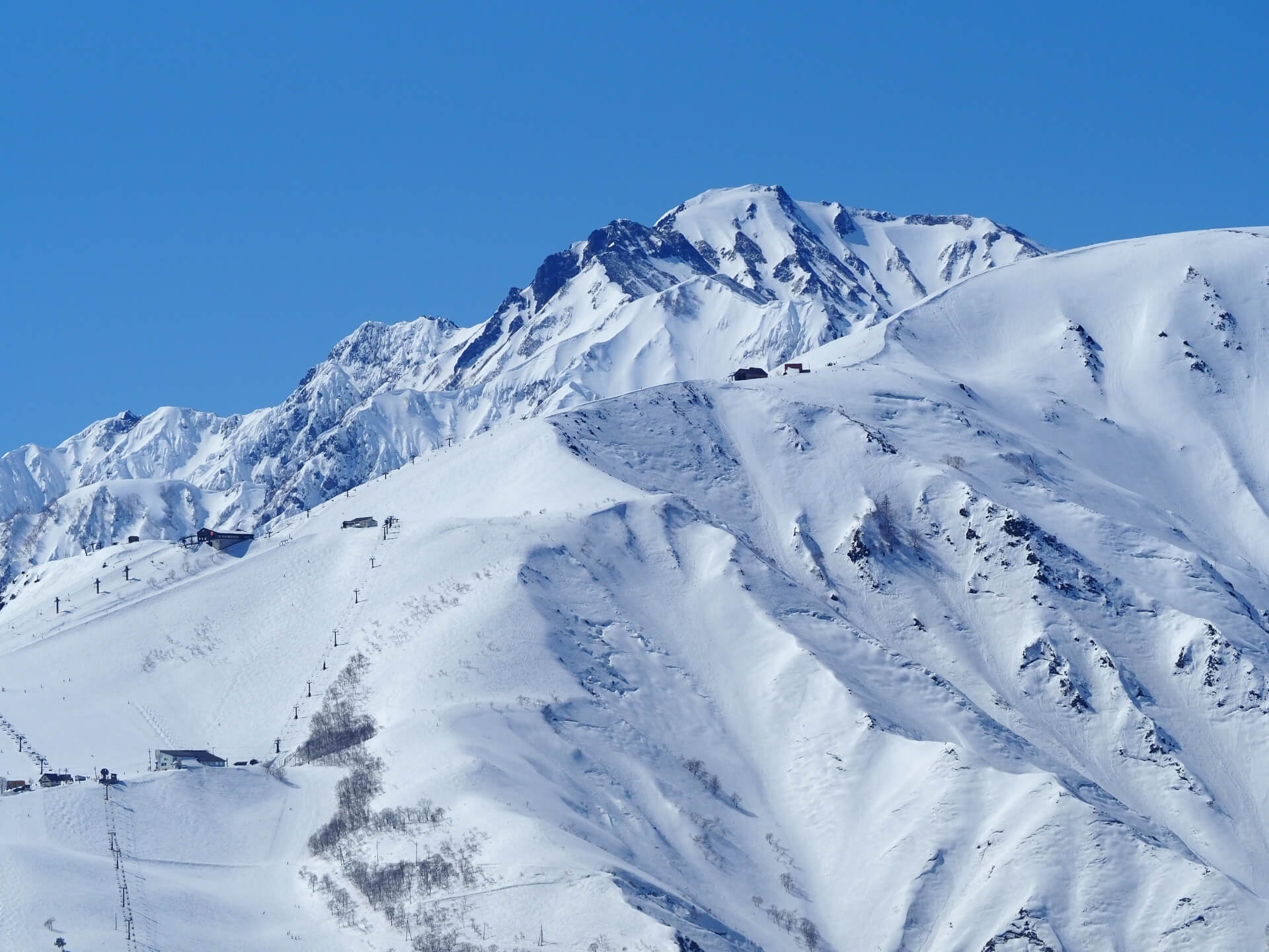 hakuba-happo-one