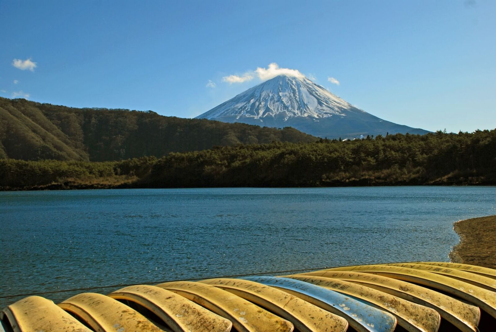 fuji-saiko