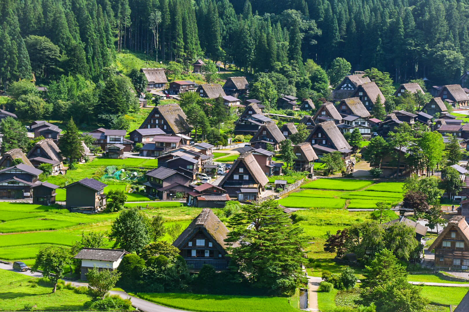 Discover The Tradition & Beauty Of Shirakawa-go - SNOW MONKEY RESORTS