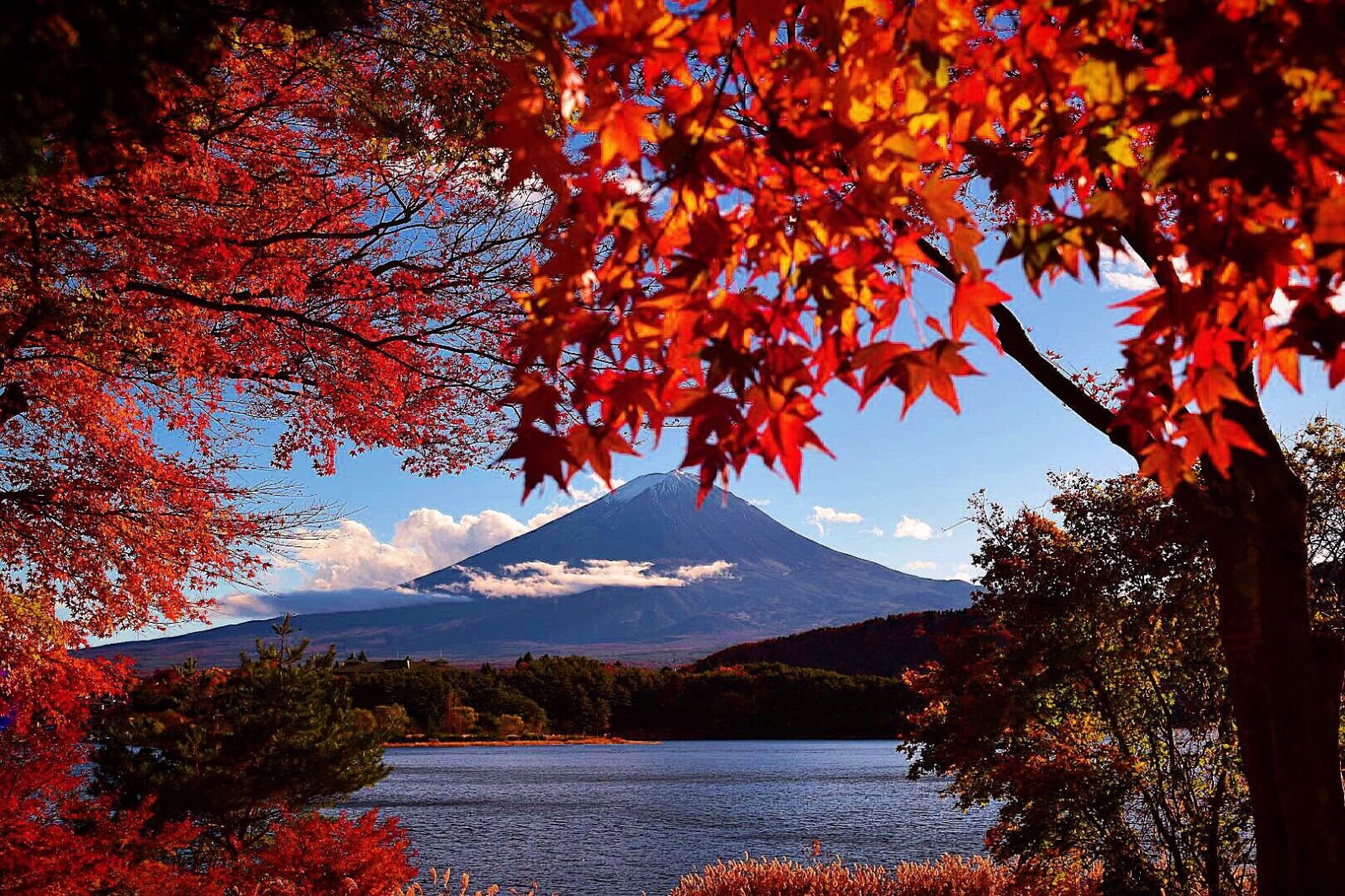 of Autumn Leaves in - SNOW RESORTS