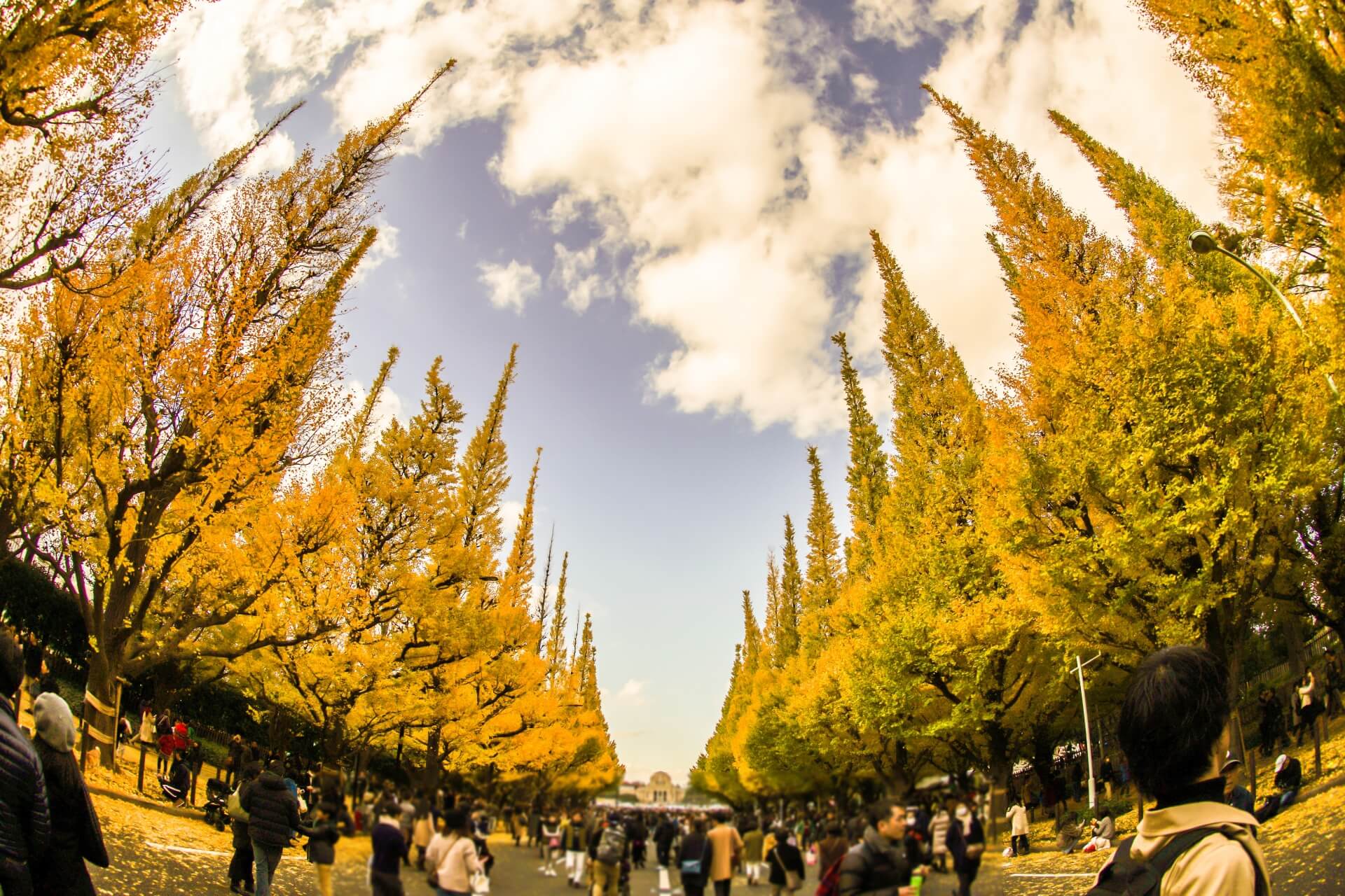 meiji-jingu-gaien