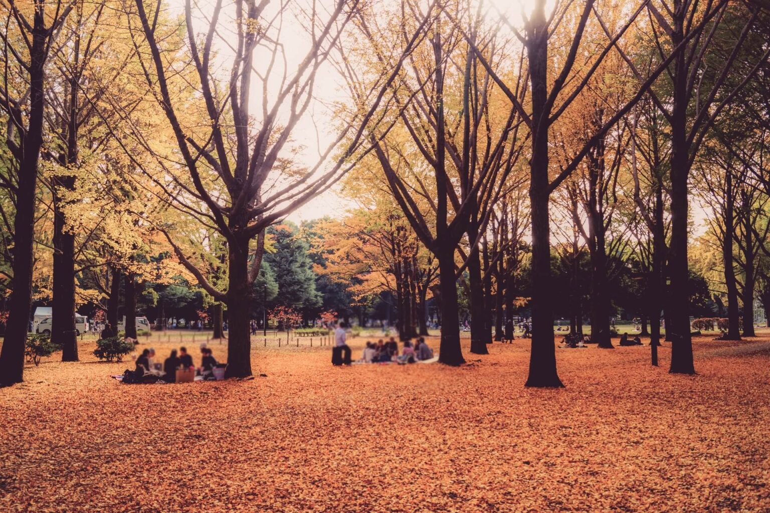 15 Best Places To See Autumn Leaves In & Around Tokyo - SNOW MONKEY RESORTS