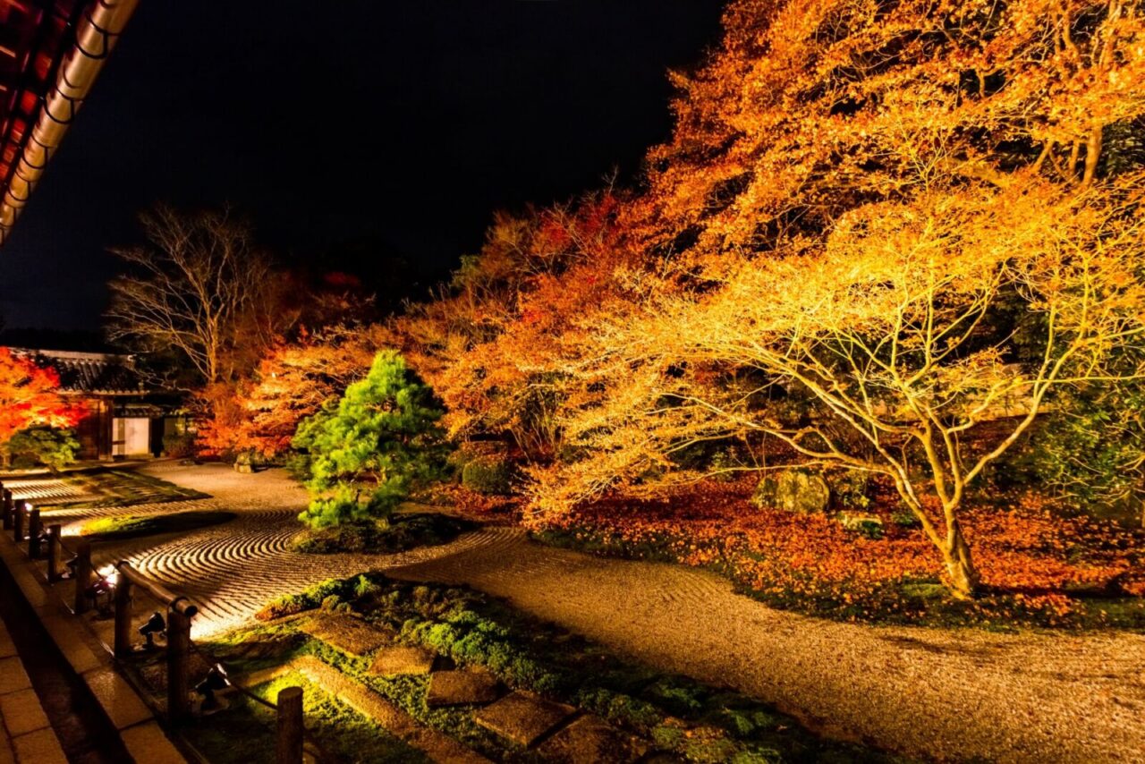 10 Best Places to See Autumn Leaves in Kyoto - SNOW MONKEY RESORTS