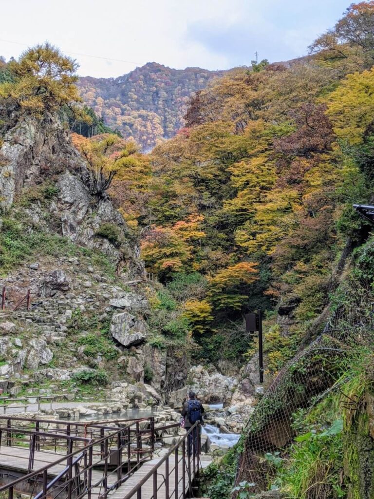 jigokudani-monkey-park-october-2021