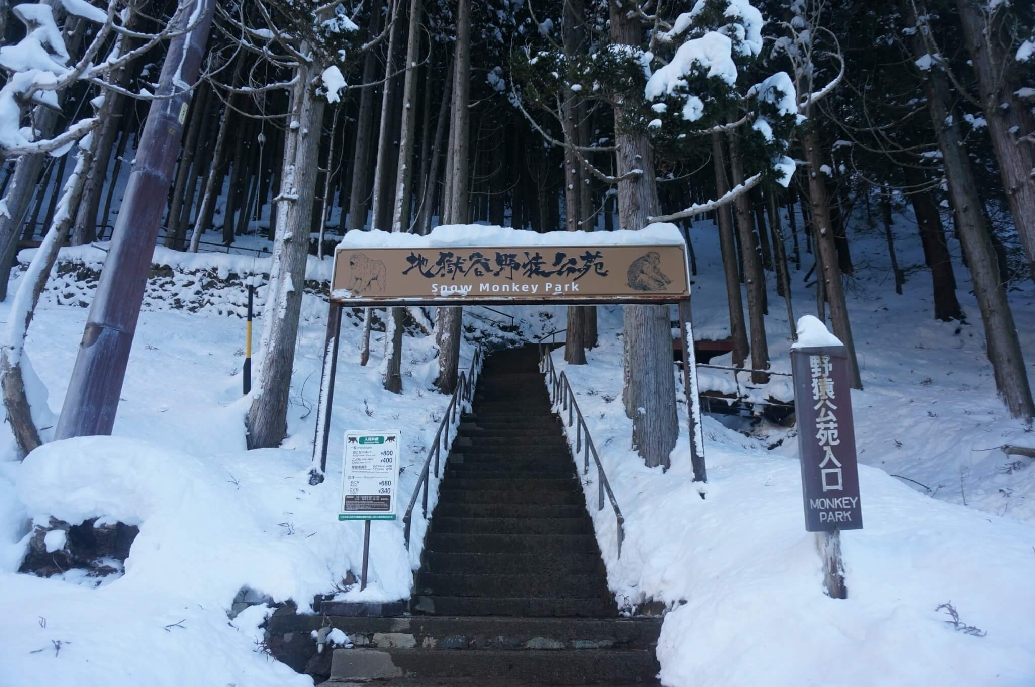 jigokudani-monkey-park-trail