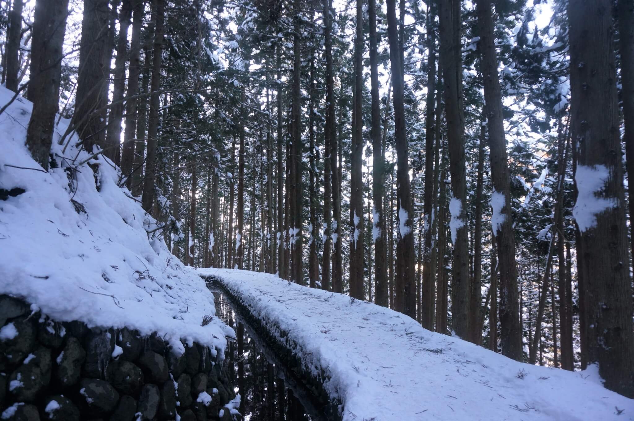 jigokudani-monkey-park-trail