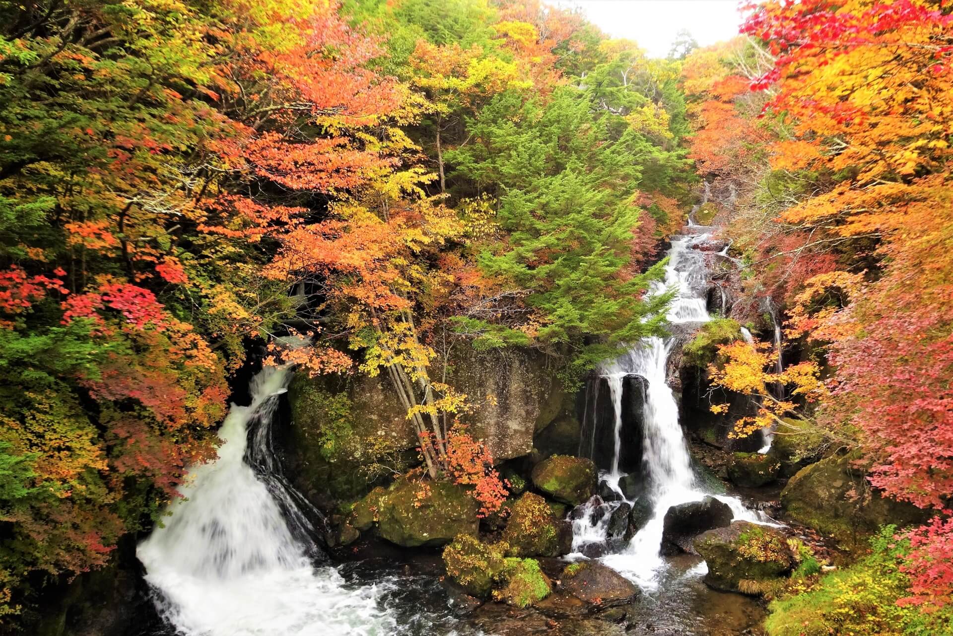 nikko-ryuzu-falls