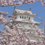 7 Things to Do Around Himeji & Where to Stay