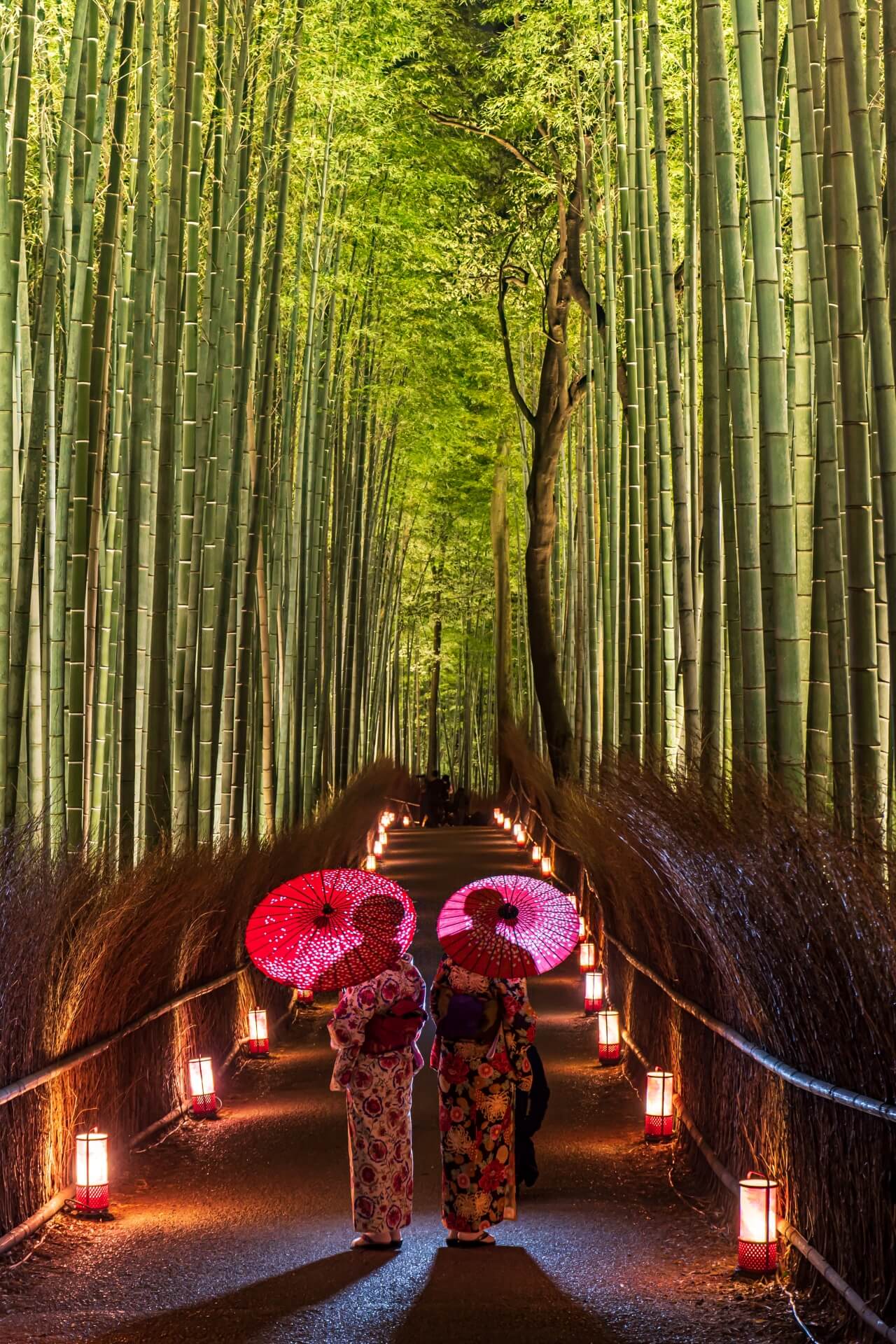 Arashiyama Bamboo Grove, Arashiyama & Sagano, Kyoto