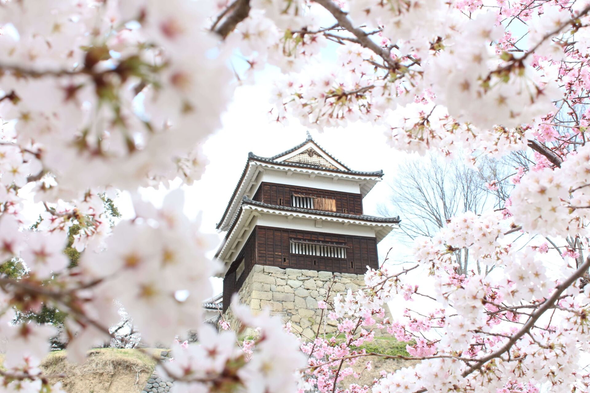 Ueda Castle & Yanagimachi