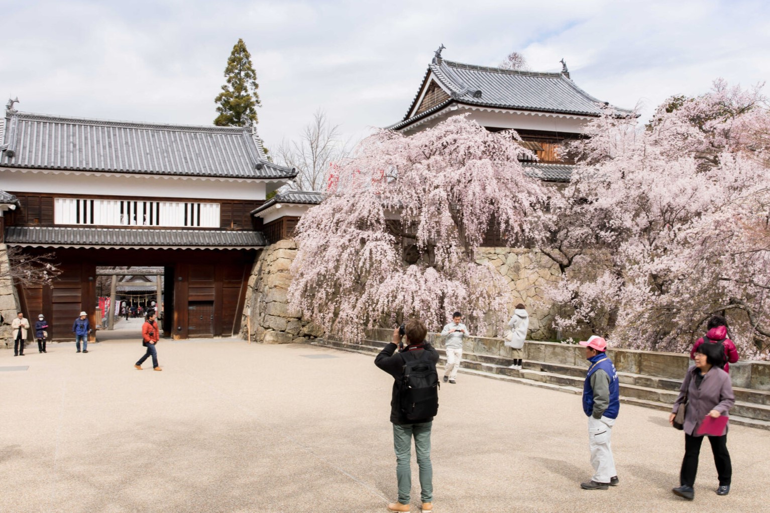 享受上田城跡公园的季节性美景