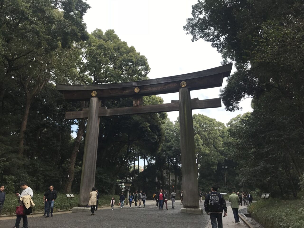 Shrine Complex Meiji Jingu Shrine - SNOW MONKEY RESORTS