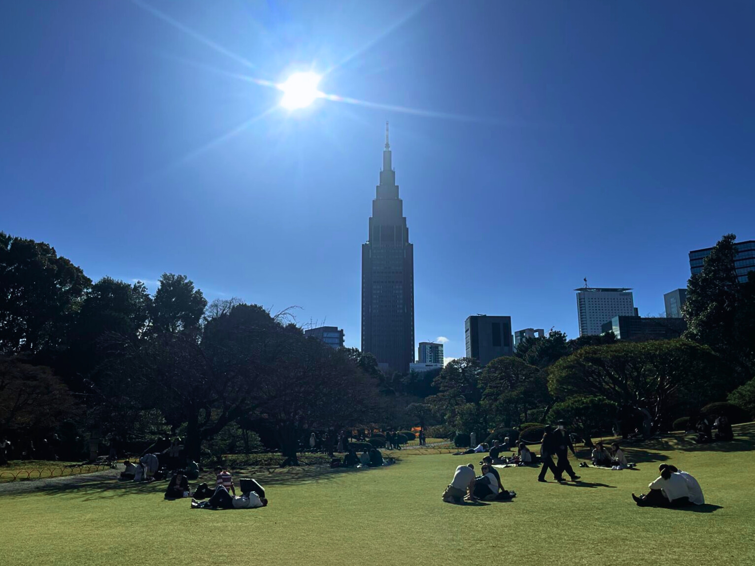 Shinjuku-Gyoen-park