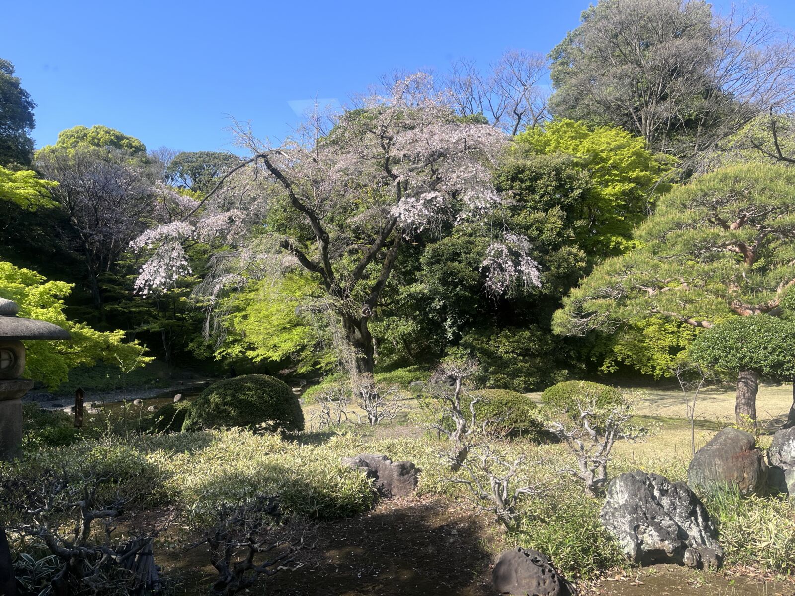 Kagurazaka-Koshikawa-gardens