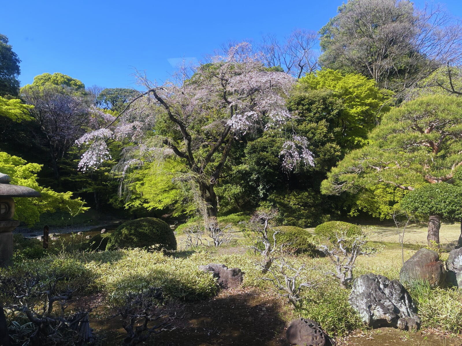 Kagurazaka-Koshikawa-gardens