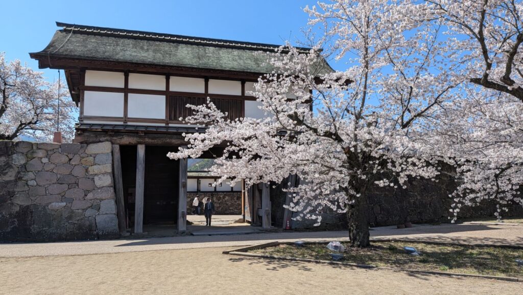 长野县松代城公园的樱花盛开。