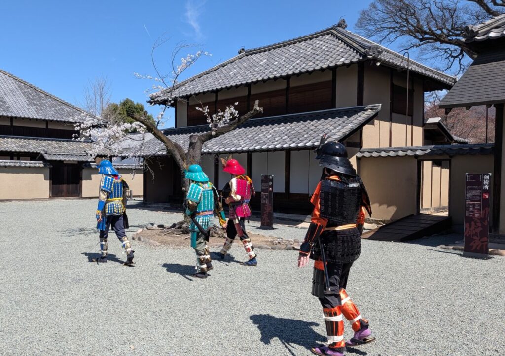在日本长野，一群人身穿仿制武士盔甲，在一棵樱花树下行走。