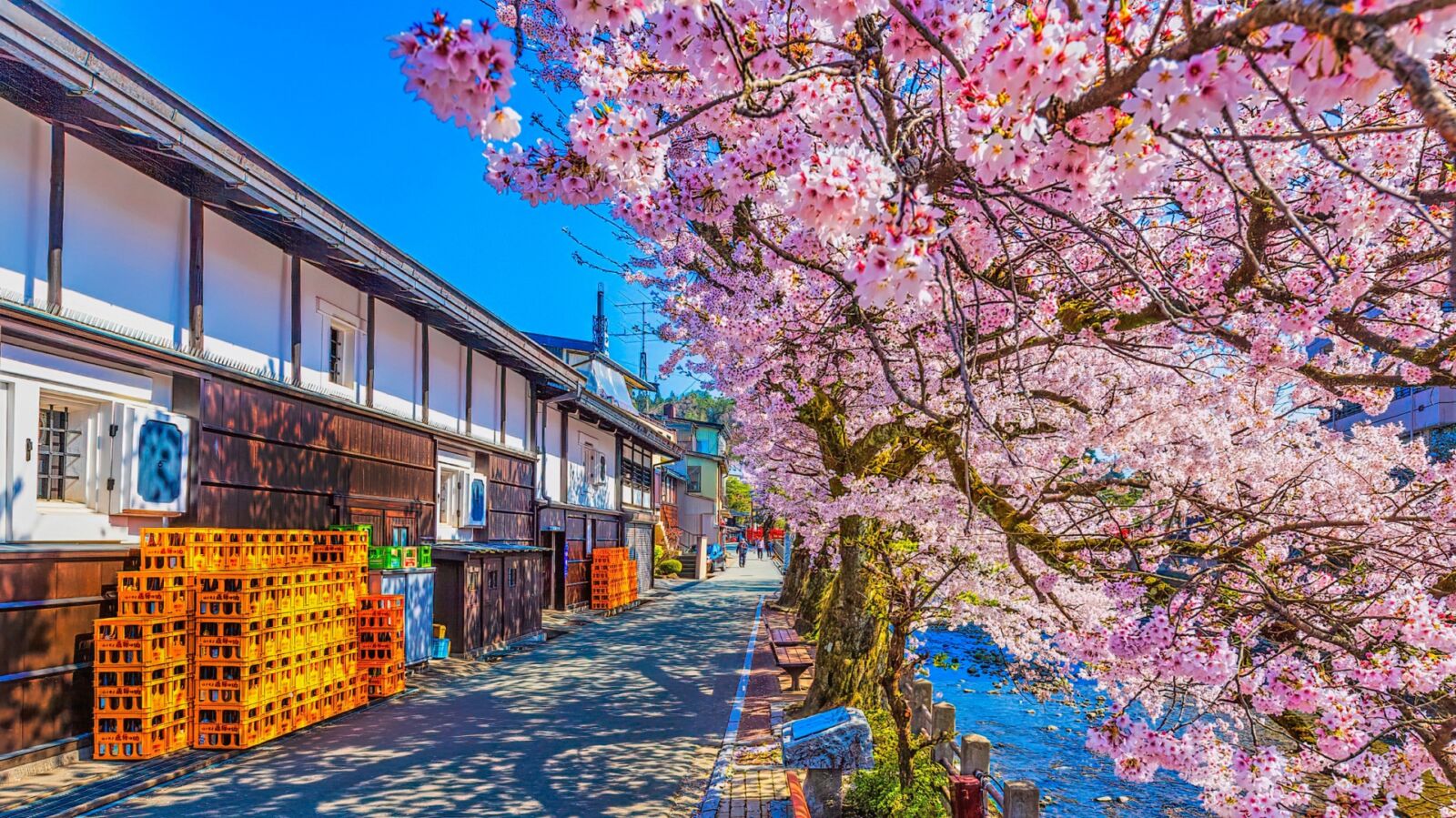 Best Places to Visit in Takayama During Spring - Snow Monkey