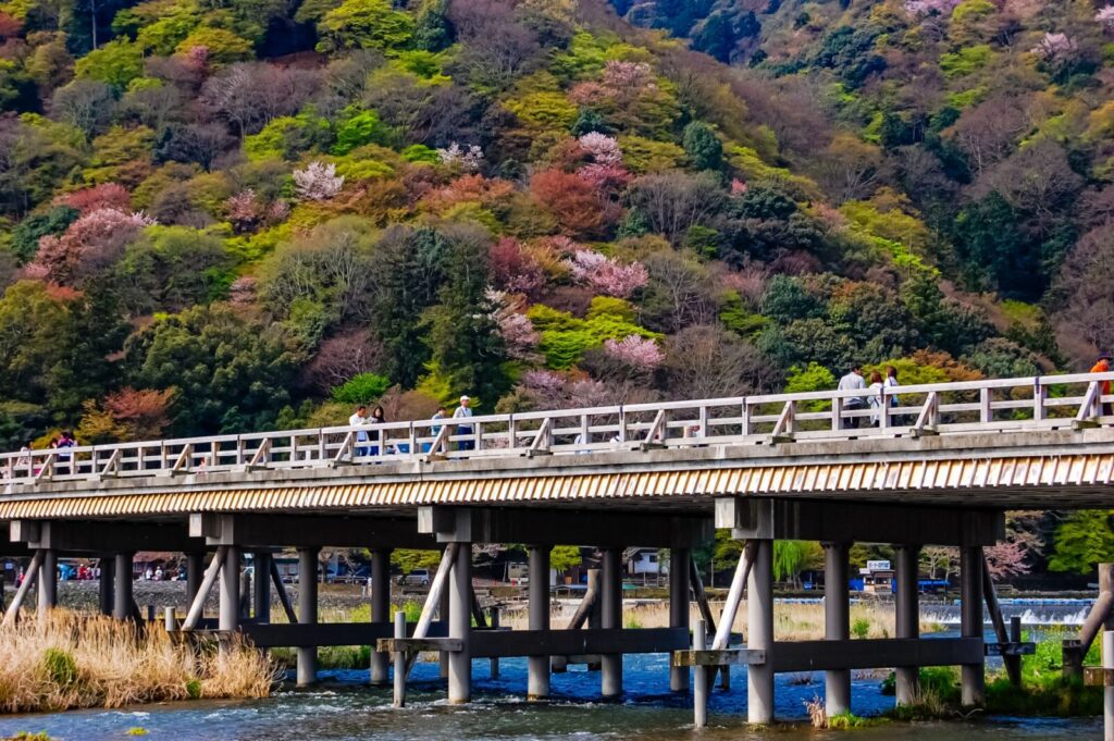 sakura_Kyoto_arashiyama