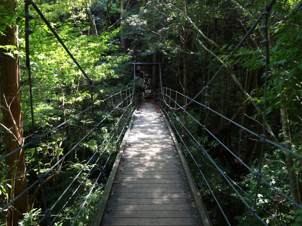 Nagoya-Tsukechi-gorge-bridge-horizontal-ACPhotos