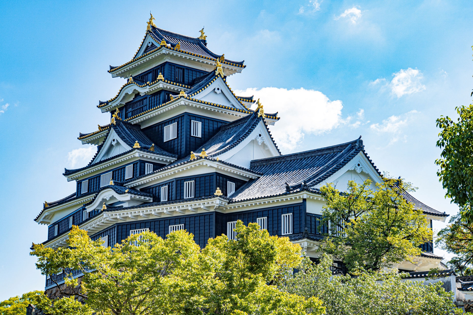 Hidden Castles in Japan Most Tourists Miss - Snow Monkey Resorts