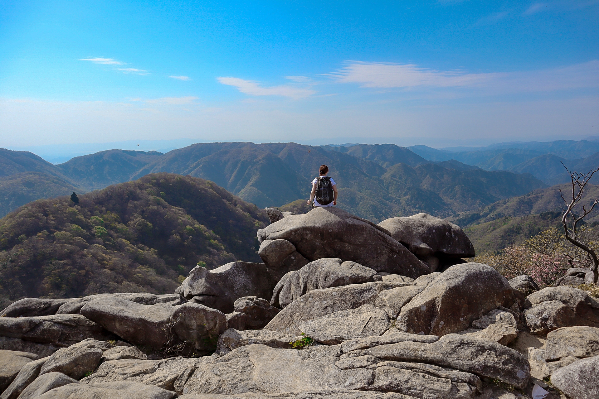 Nagoya-Gozaisho-summit-