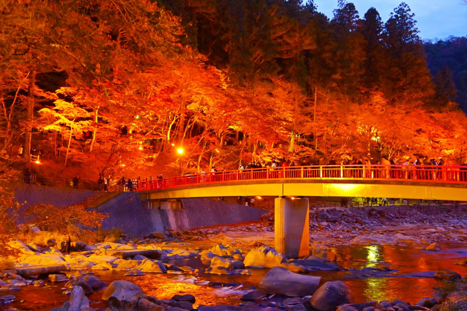 nagoya-in-november-2025-what-to-know-snow-monkey-resorts