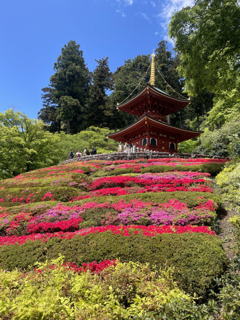 Katsuoji_pagoda_spring_azaleas