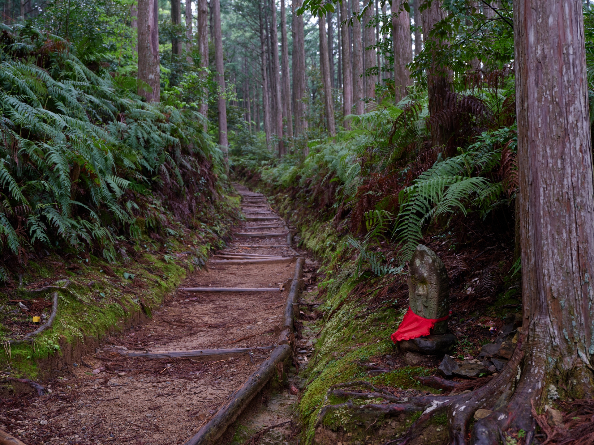 Walk the Kumano Kodo: A Sacred Pilgrimage Through the Mountains of