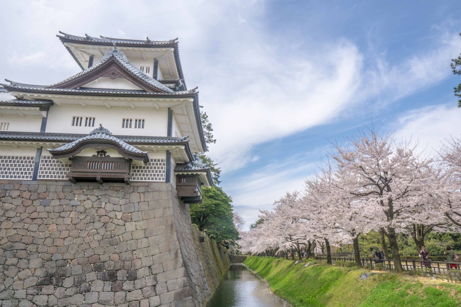 Kanazawa Castle stone wall cherry blossom