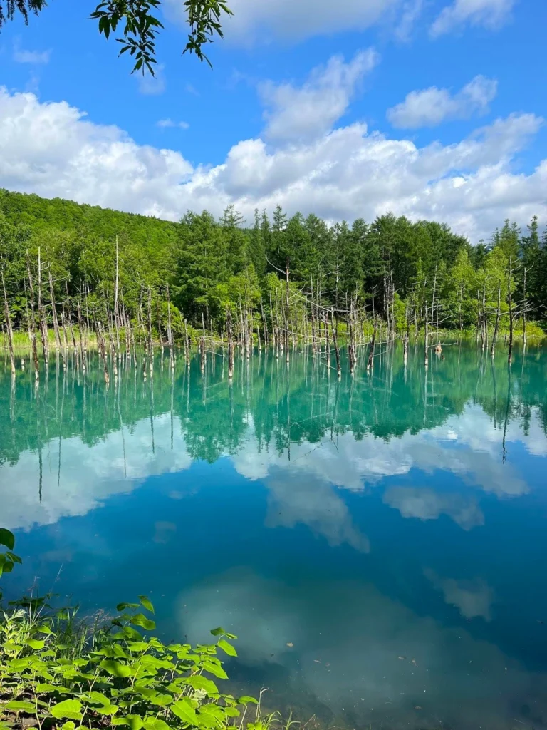Hokkaido-Blue-Pond