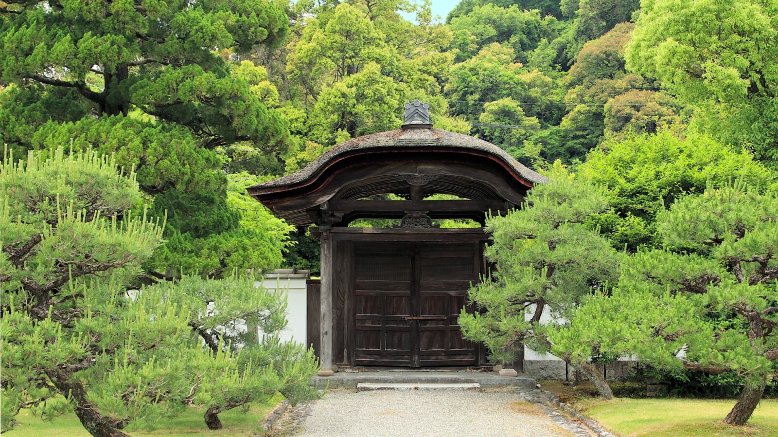 日本国宝如庵茶室- SNOW MONKEY RESORTS