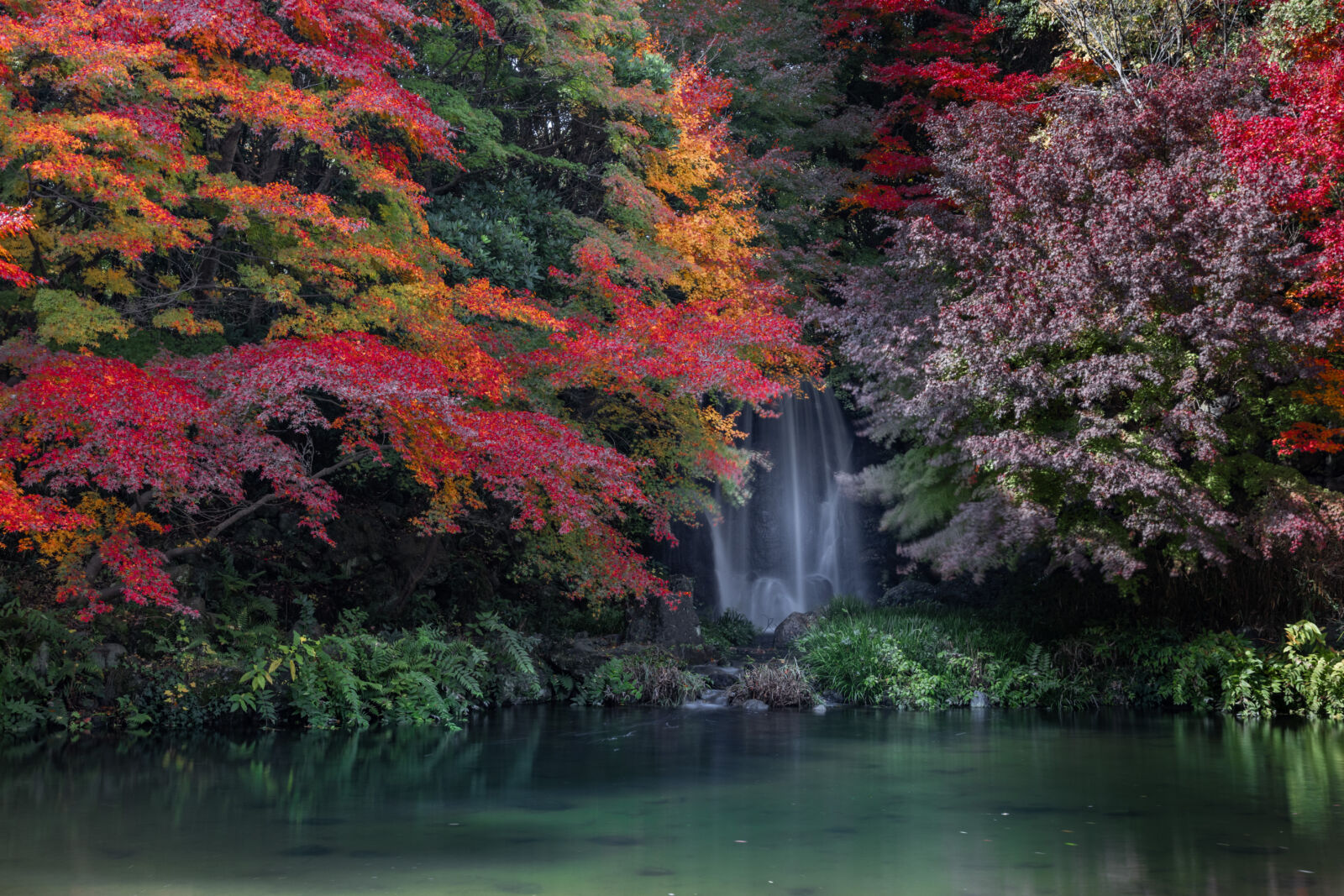 osaka-expo-70-commemorative-park-autumn