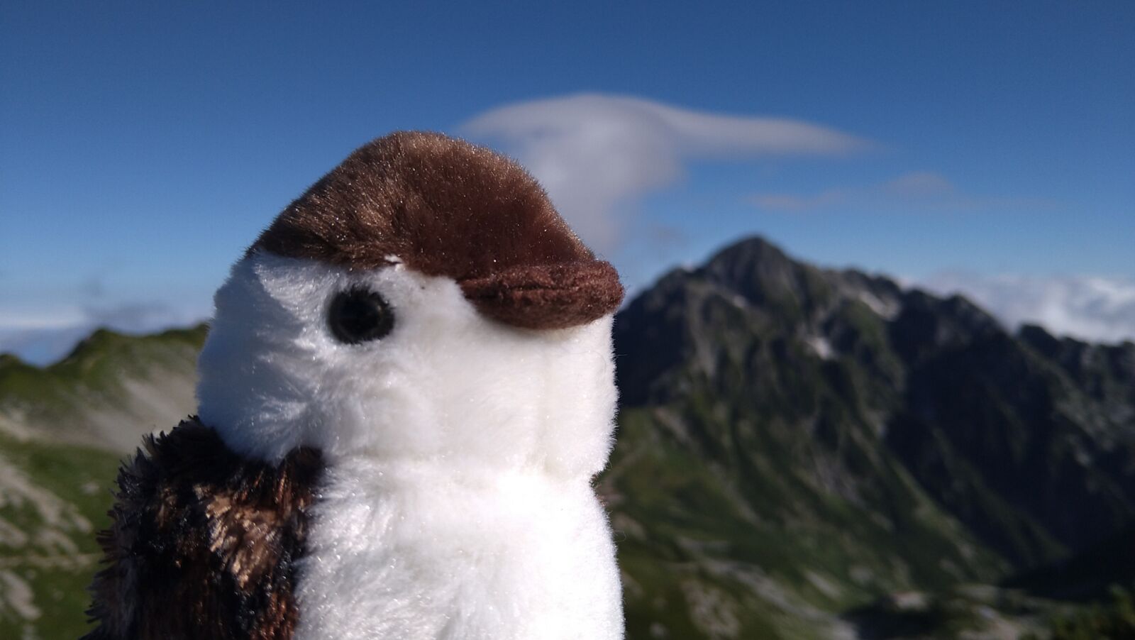 Best Souvenirs from the Tateyama-Kurobe Alpine Route - Snow Monkey Resorts