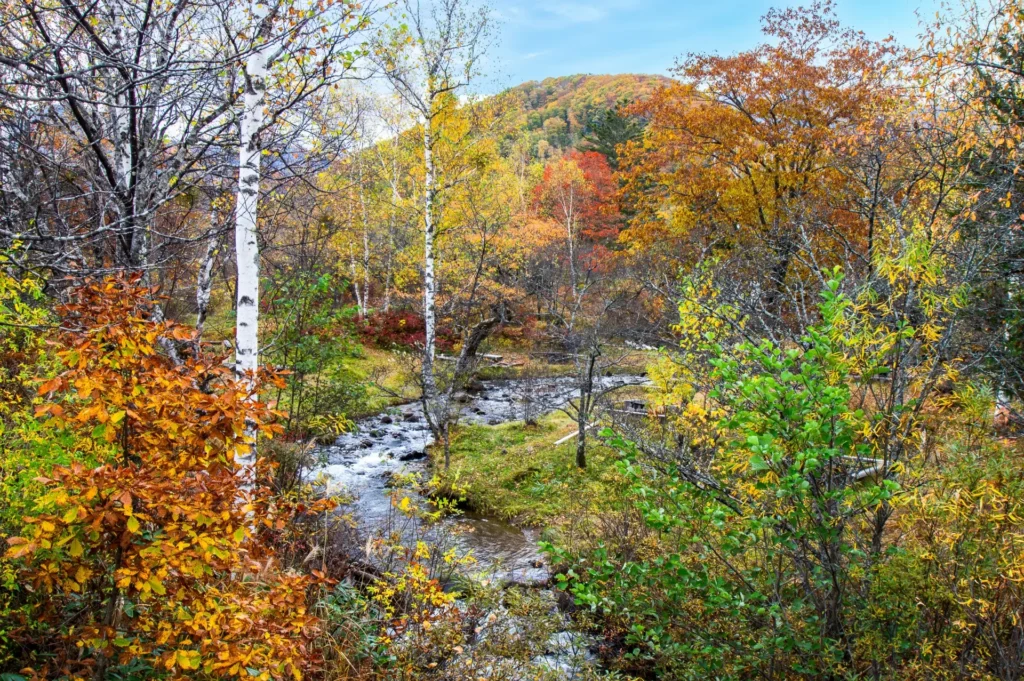 Norikura-Matsumoto-Fall