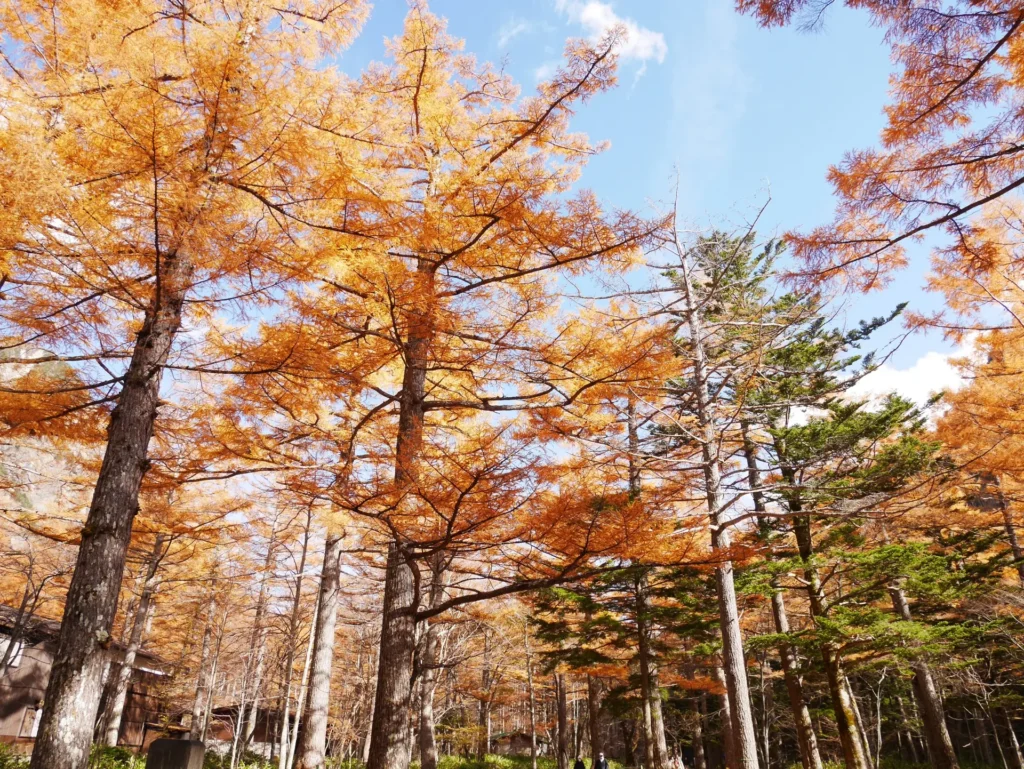 Kamikochi-Matsumoto-Fall