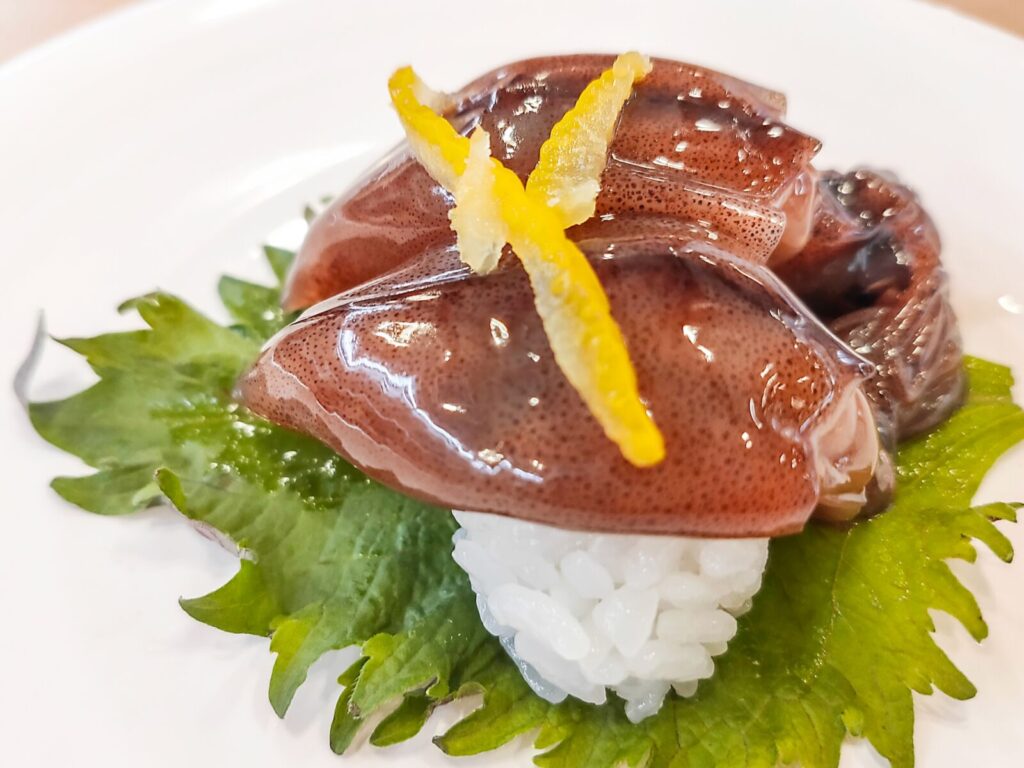 firefly-squid-hotaruika