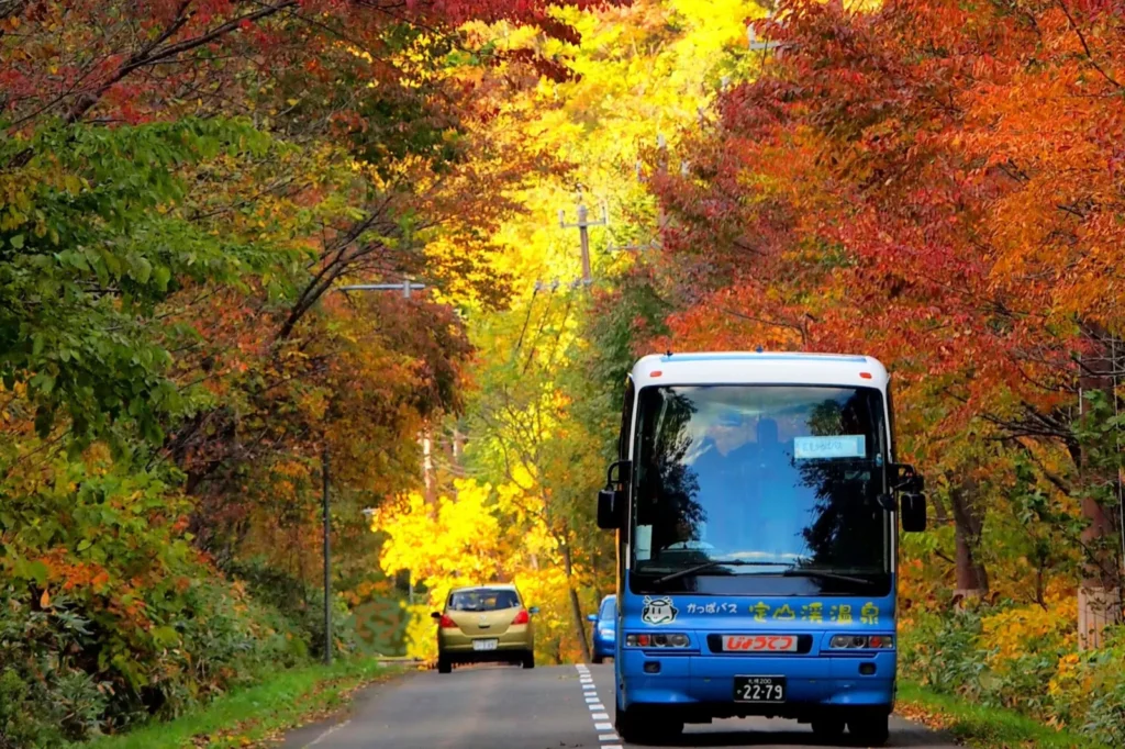 Hokkaido-Sapporo-Jozankei-autumn